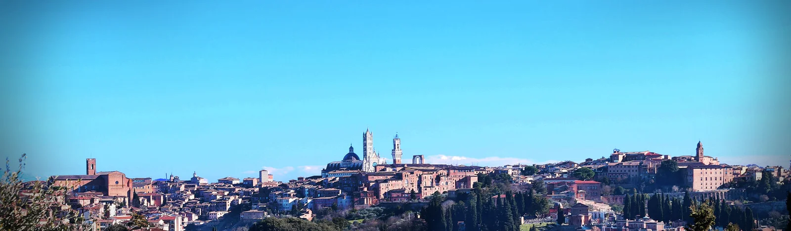 Fondazione Monte dei Paschi di Siena