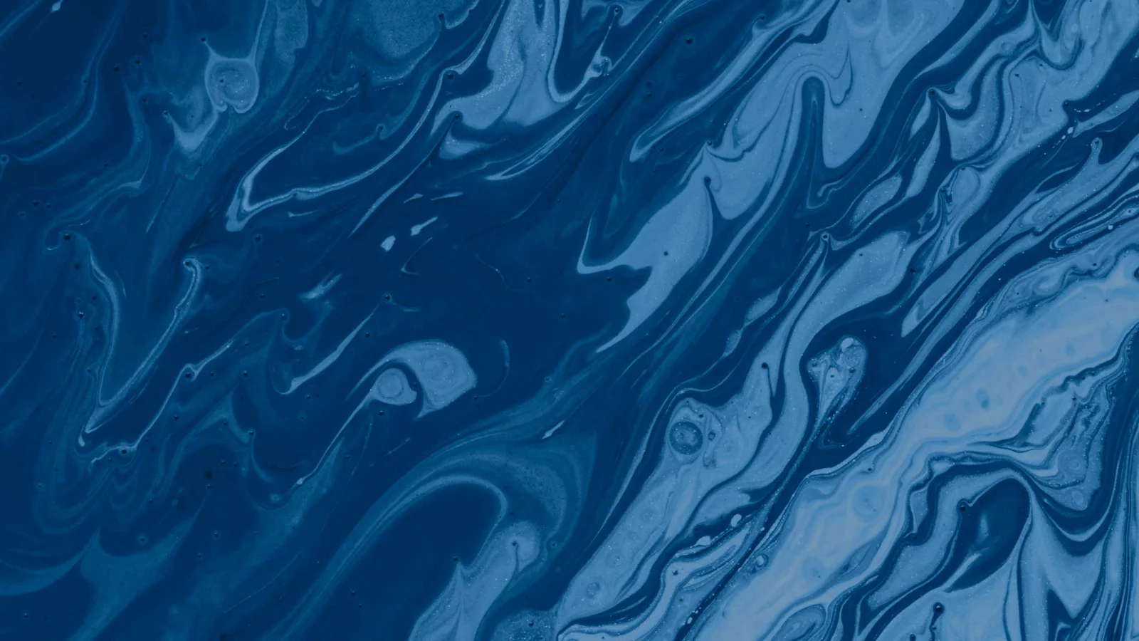 Fintex Capital header image
