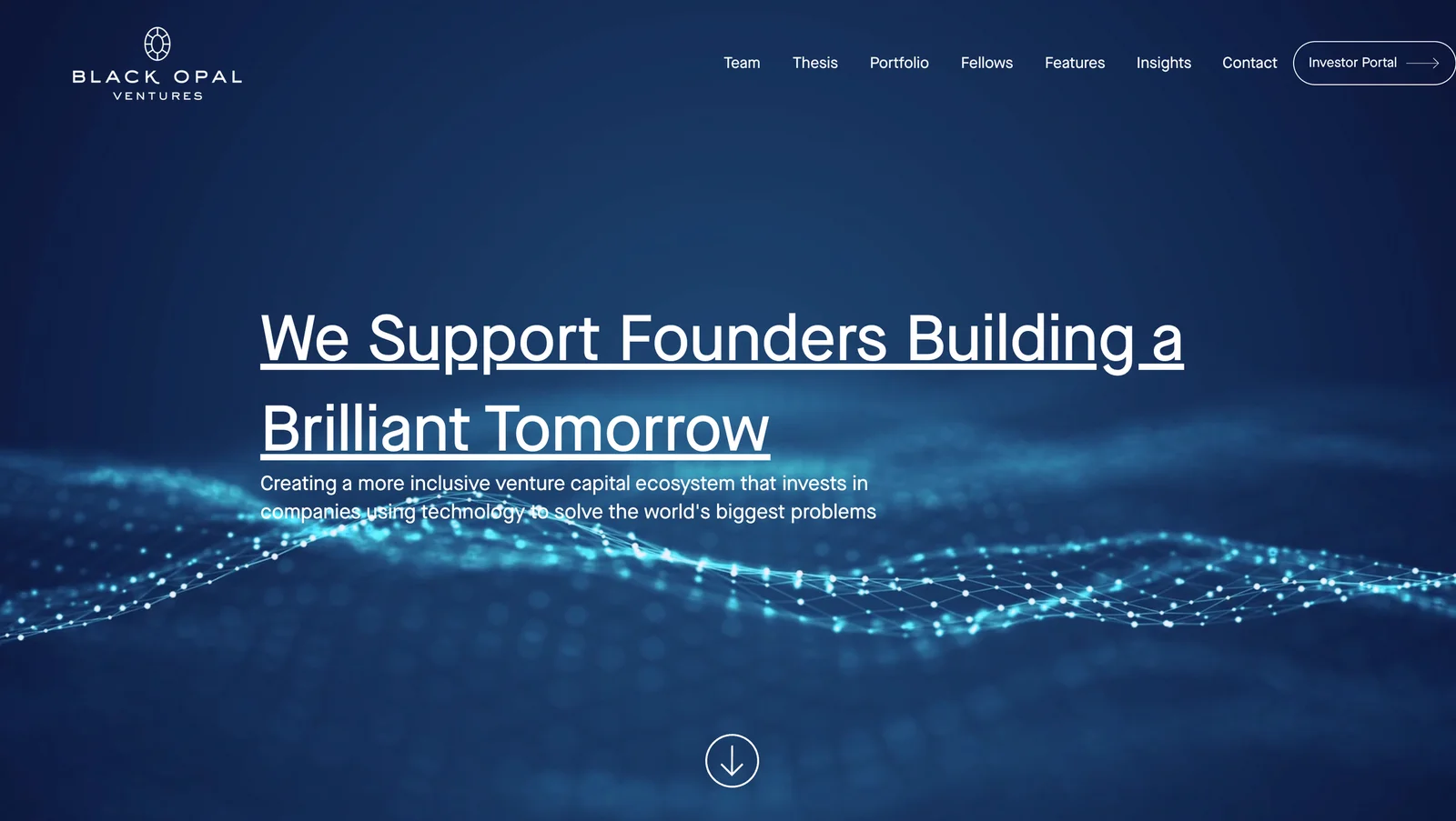 Black Opal Ventures header image
