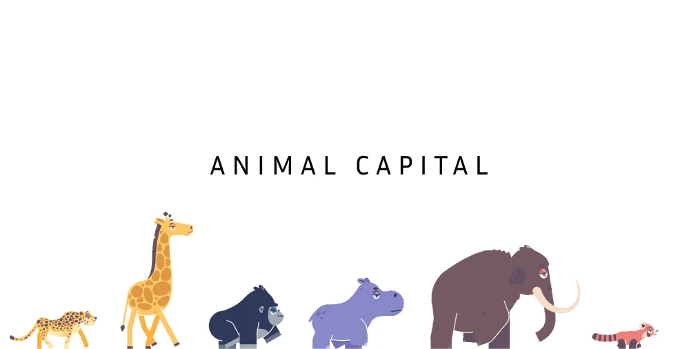 Animal Capital header image