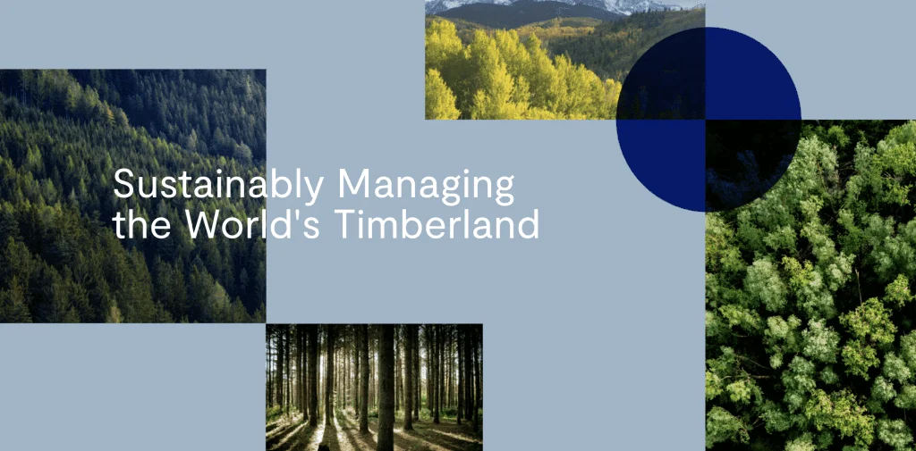 BTG Pactual Timberland Investment Group header image