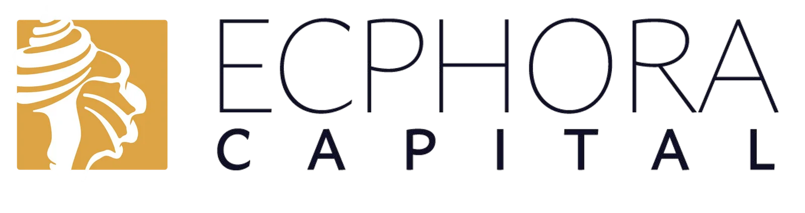 Ecphora Capital SPV33 header image