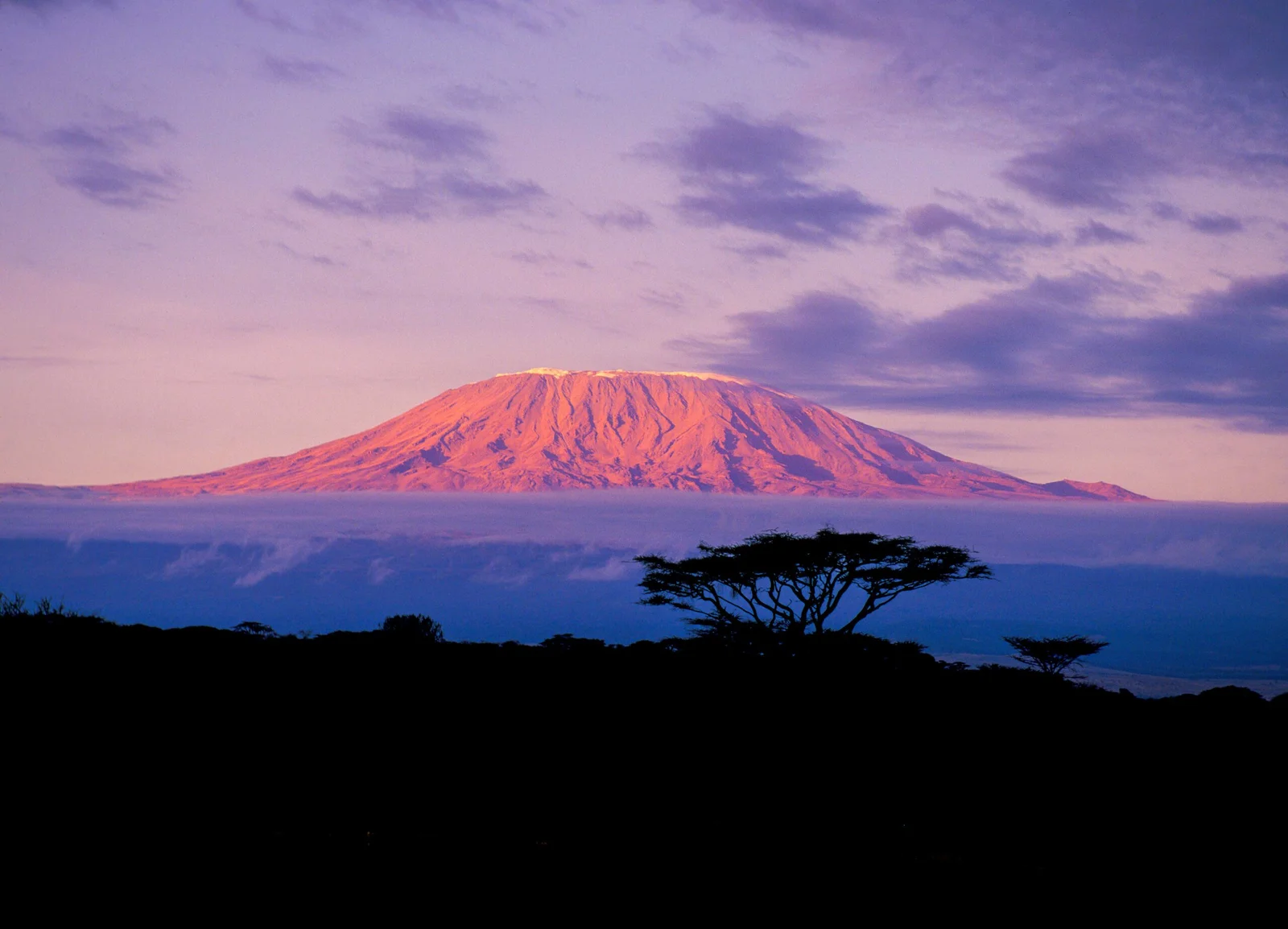 Kibo Invest header image