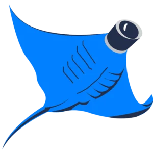 VideoRay