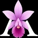 Laelia