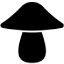 NÃM Mushroom