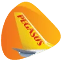 Pegasus Innovation Lab