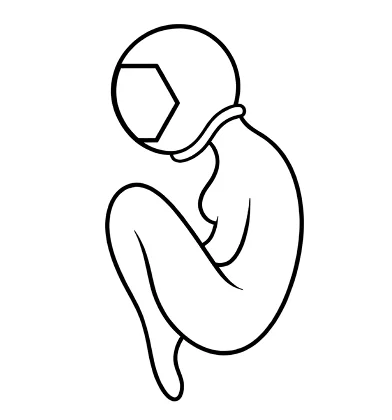 Embryonaut