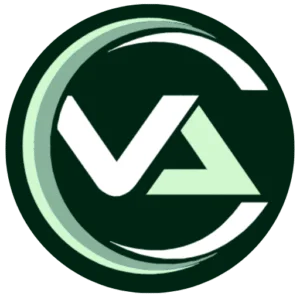Vision Accounting