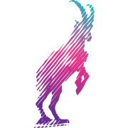 Cyberdise