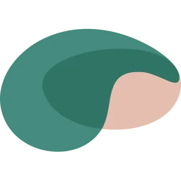 NeuraHealth logo