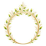 Ovaideu
