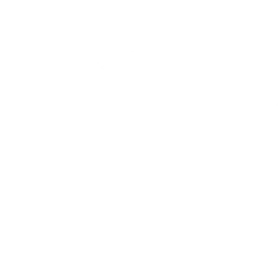 95ent logo