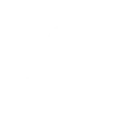 Bluefish AI