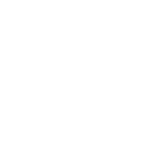 Intenso