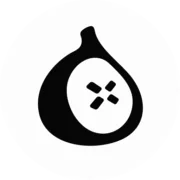 Fig Security