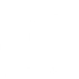 Reins