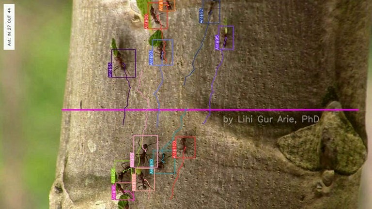 Mastering Object Counting in Videos