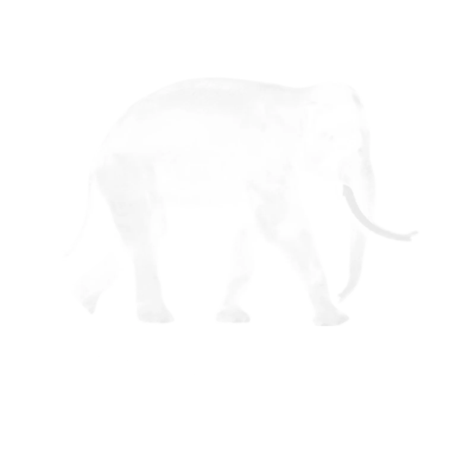 Hydaspes Group header image