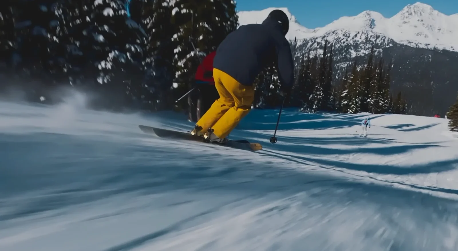 Shred Vision header image