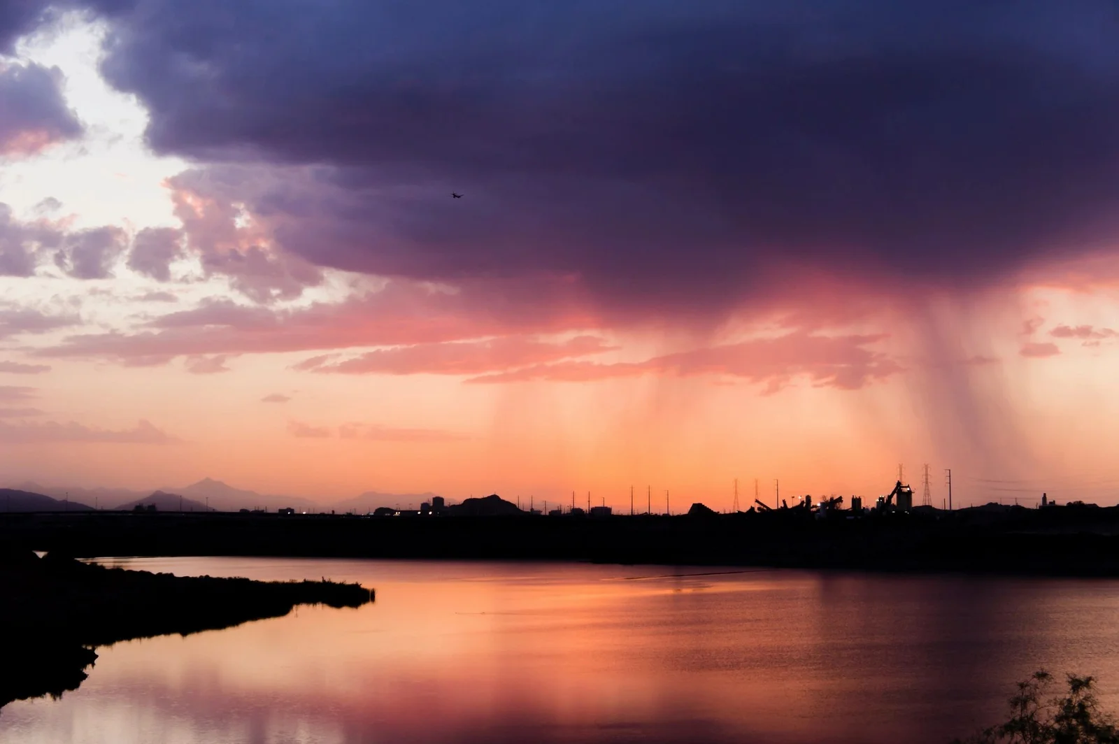 Seashell Cloud header image