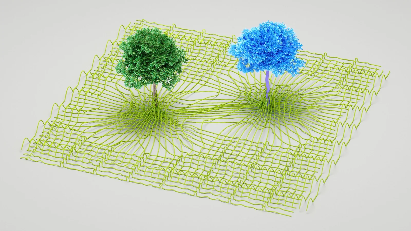 Arborflow header image