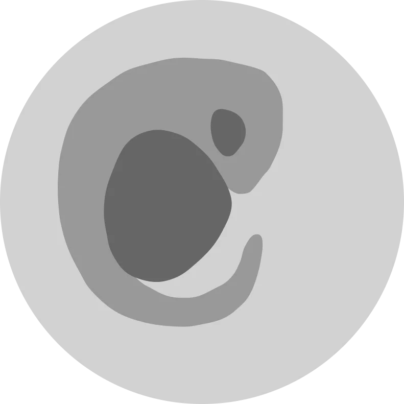 EmbryoNet-AI