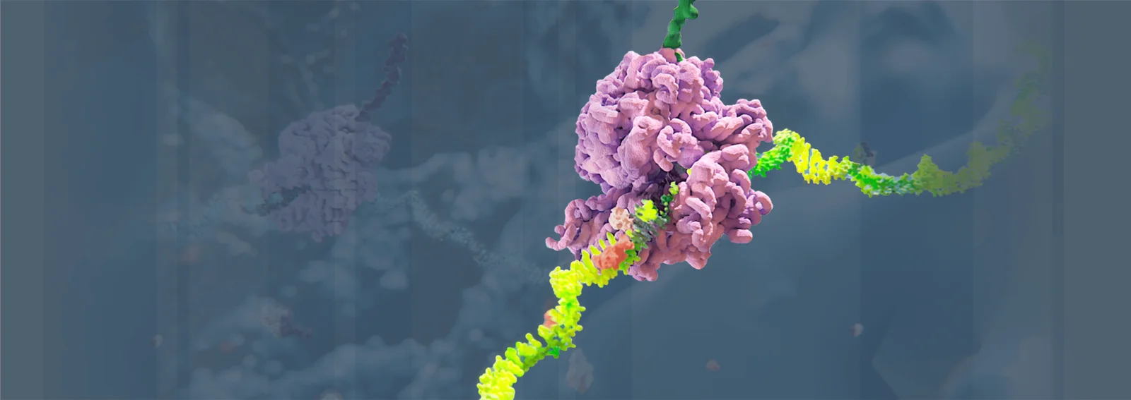 Alnylam Pharmaceuticals header image