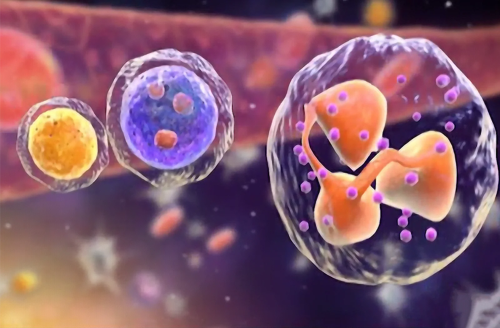 Lift Biosciences header image