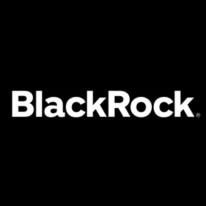 BlackRock header image