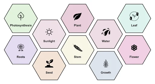 Chalk Learning header image