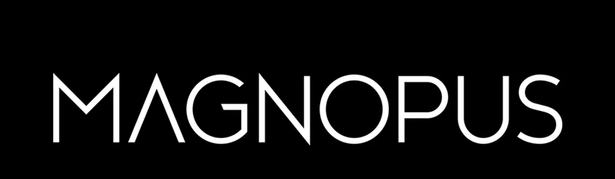 Magnopus header image