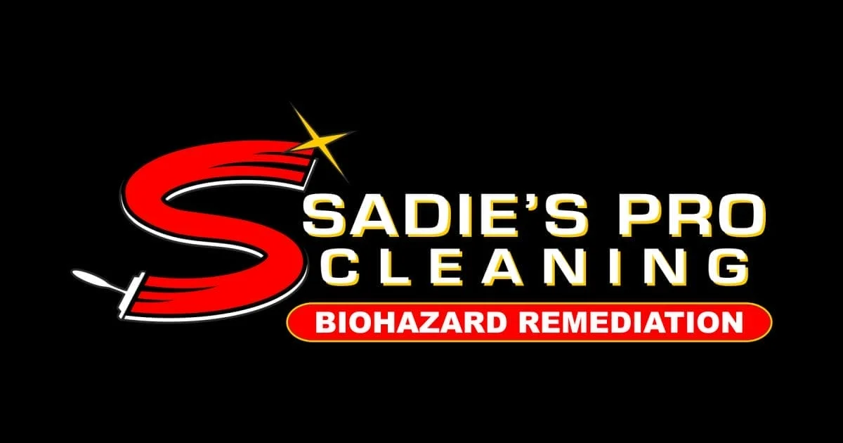 Sadie’s Pro Cleaning header image