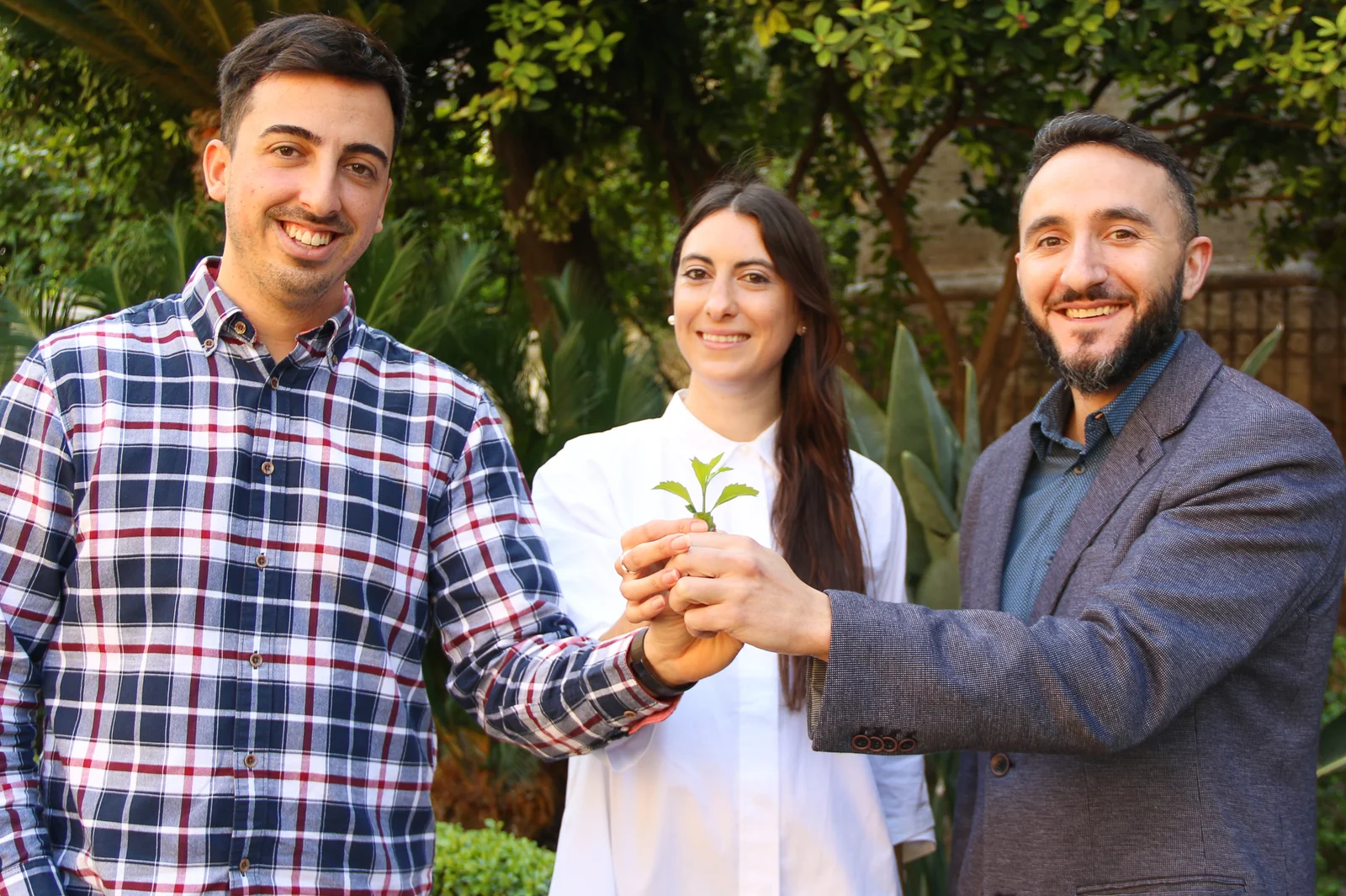 Agrow Analytics header image