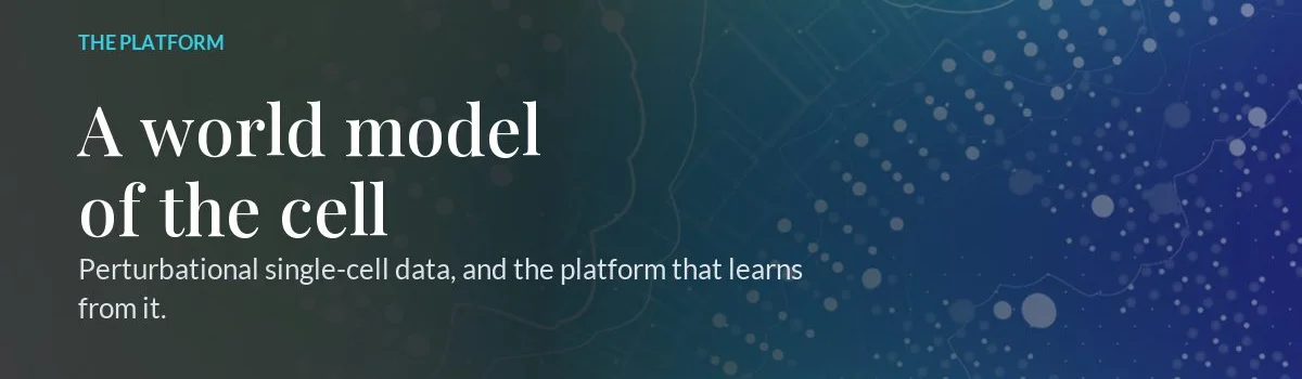 Rivercell header image