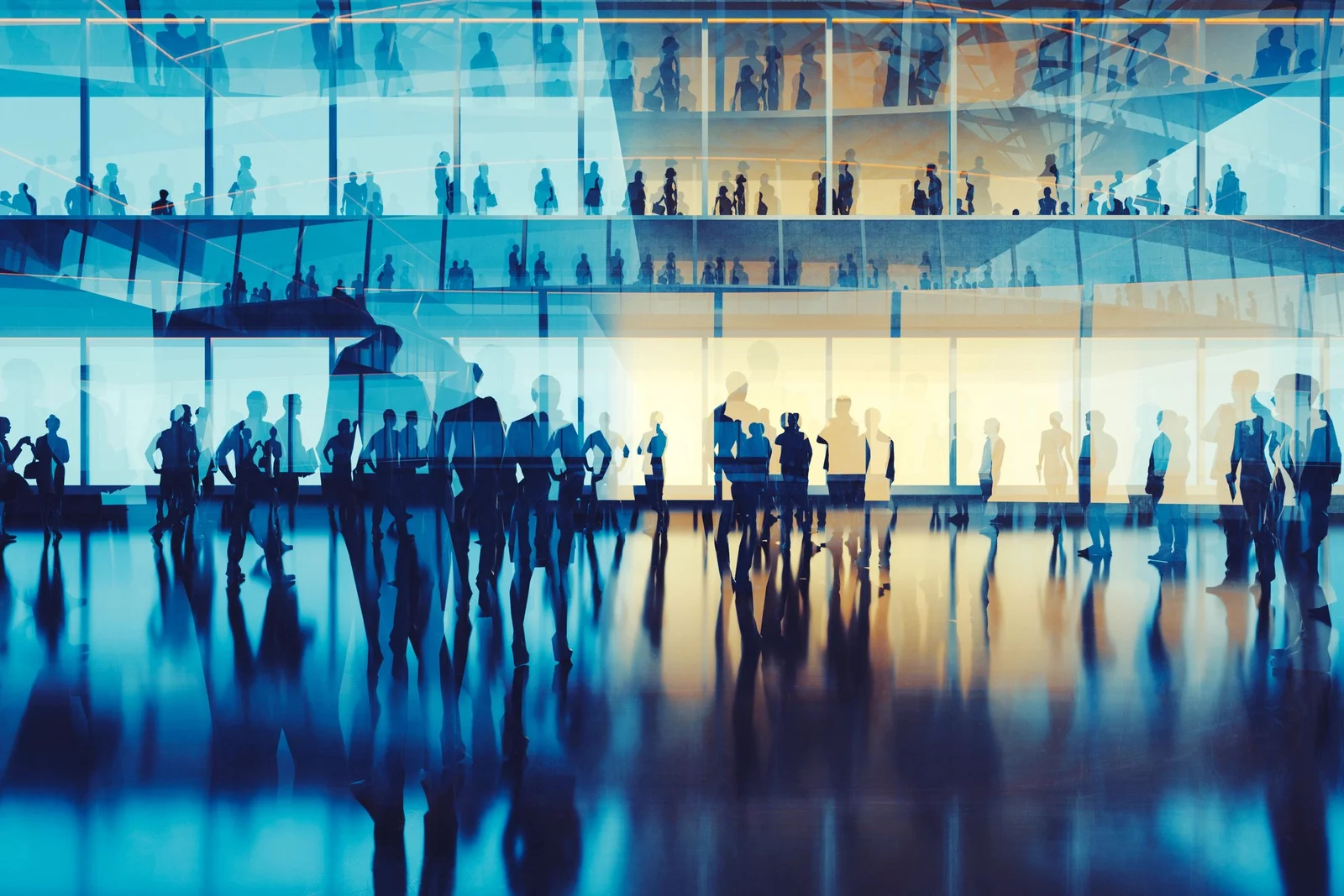 Morey Consulting header image