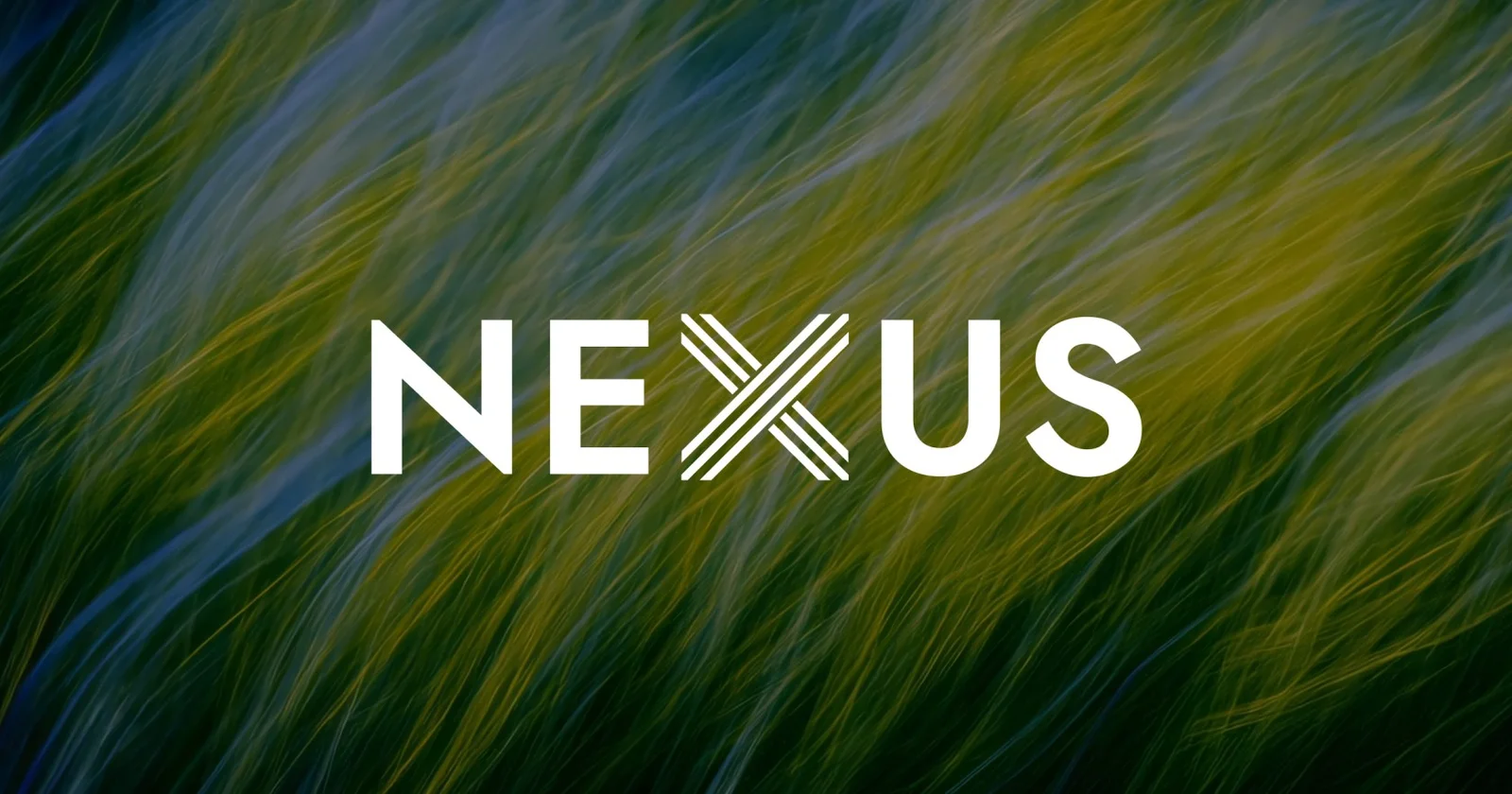Nexus Data Centers header image