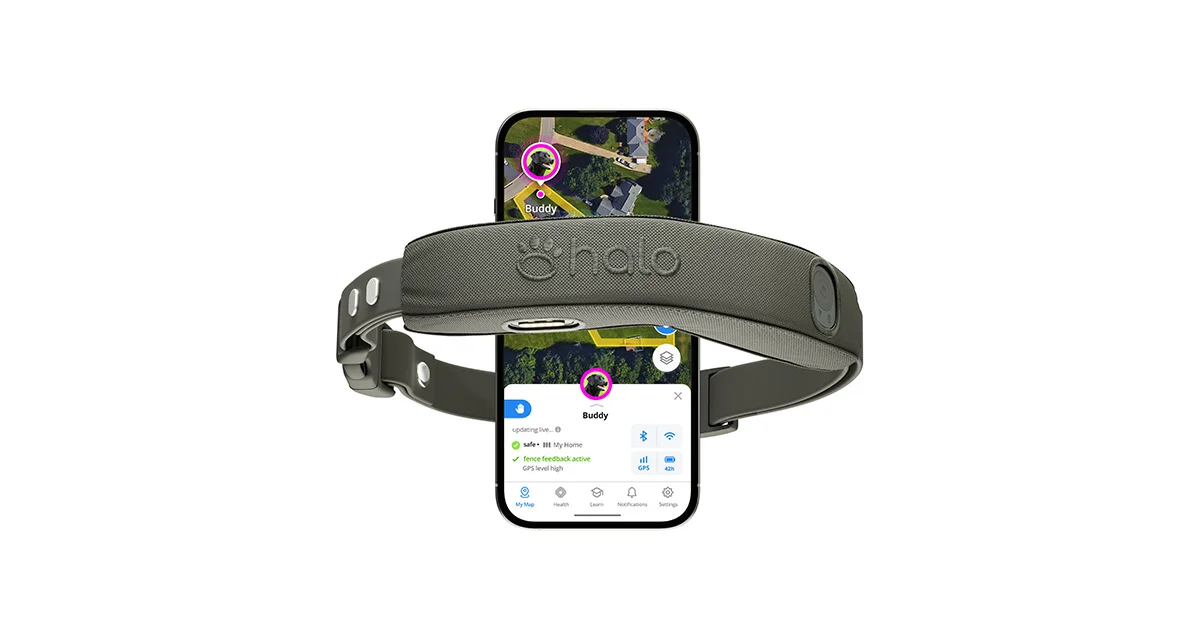Halo Collar header image