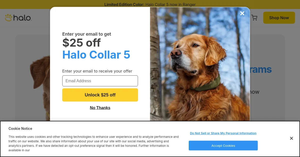 Halo Collar pricing page