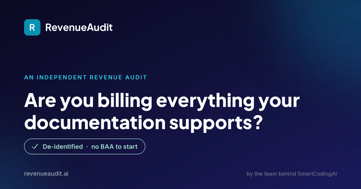 Revenueaudit header image