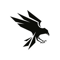 Raven.io