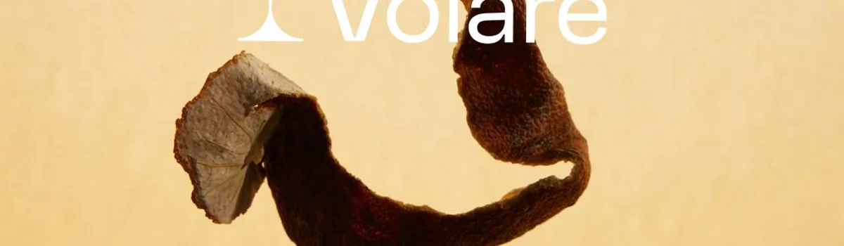Volare header image