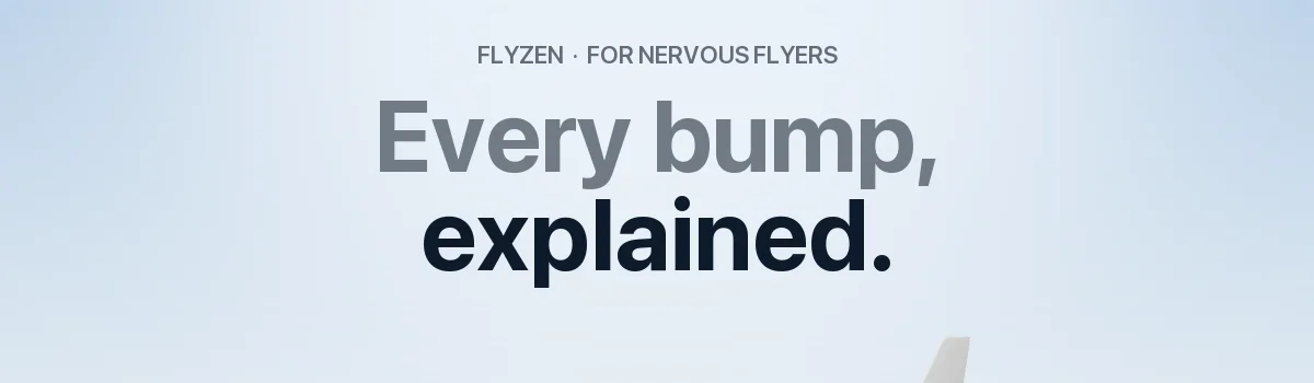 Flyzen header image