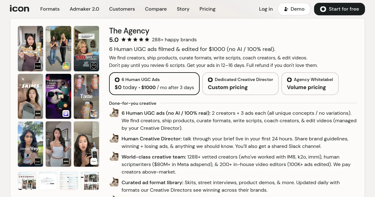 Icon pricing page
