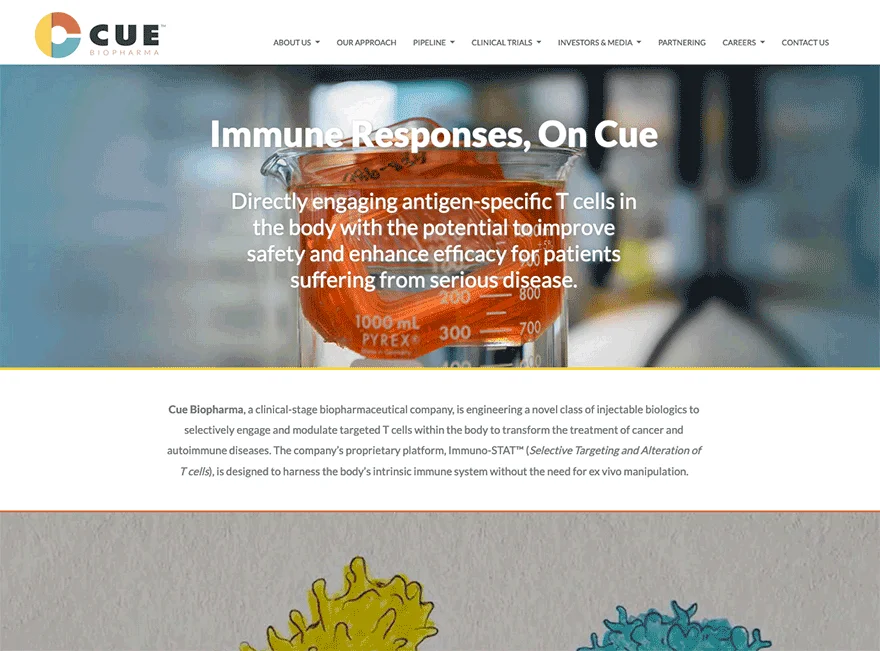 Cue Biopharma, . header image