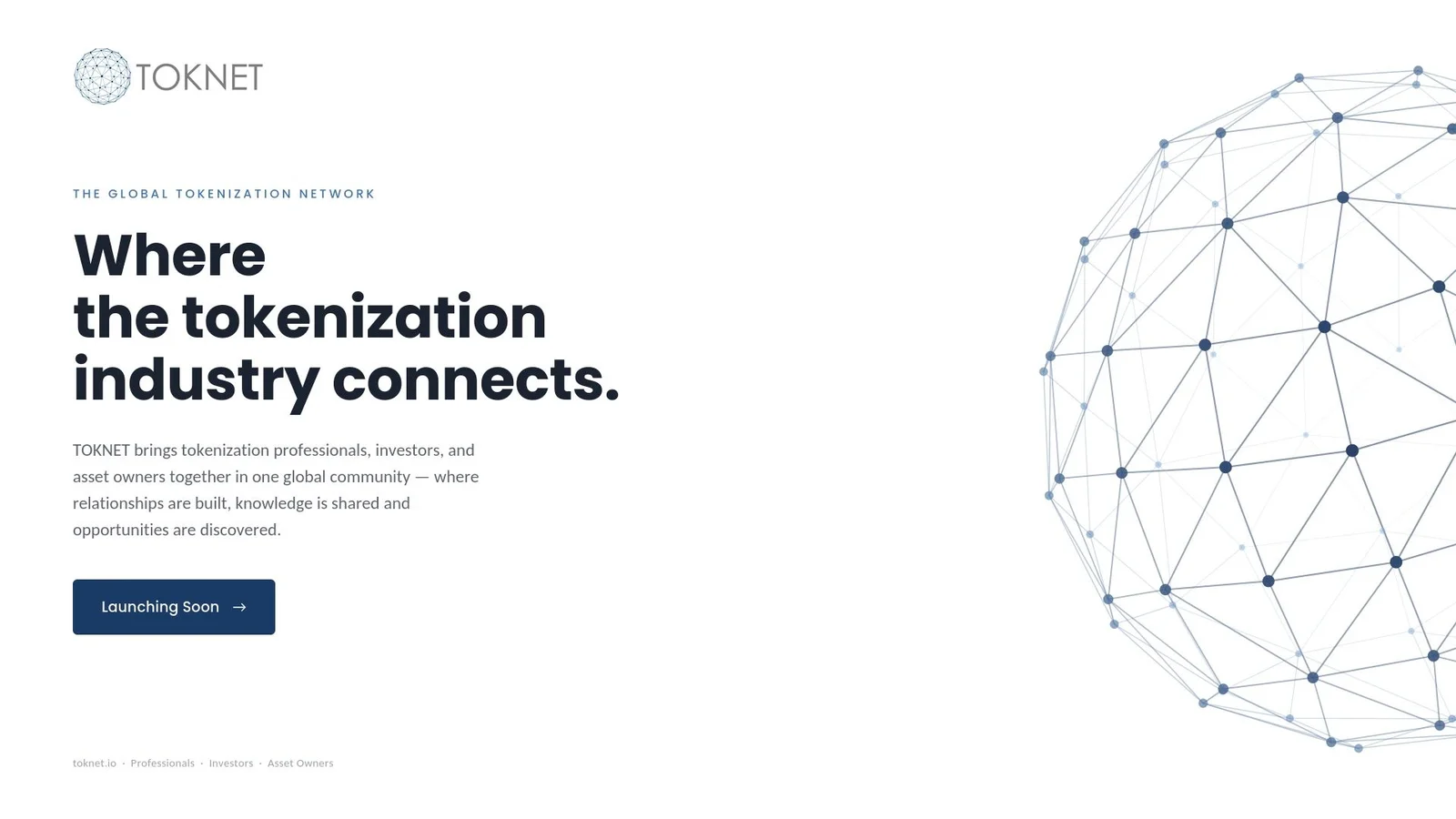Toknet header image