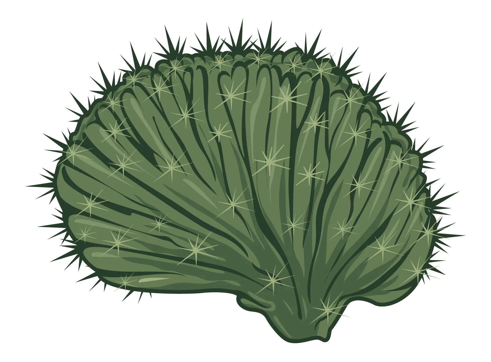 Cactus Brain Studios header image