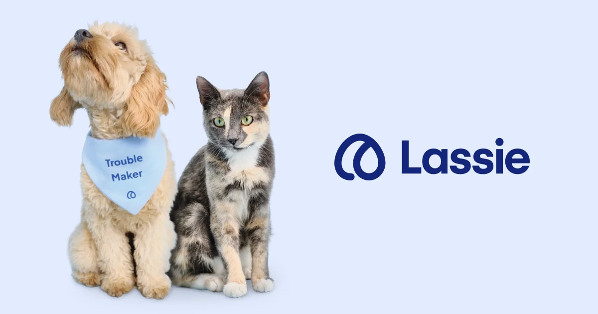 Lassie AB header image