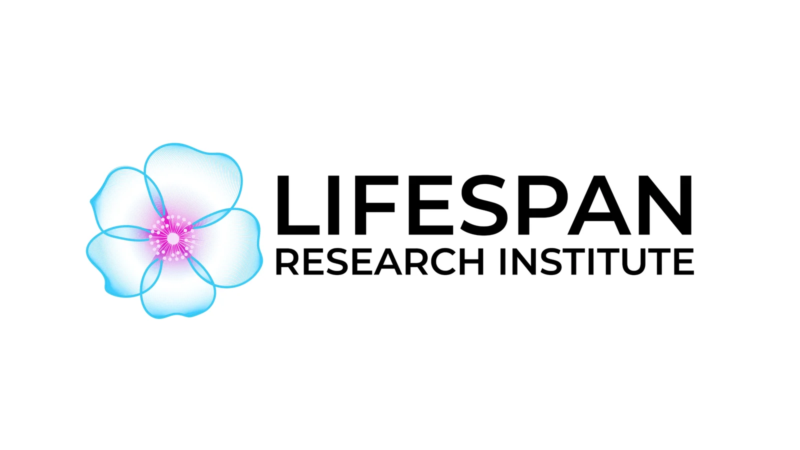 Lifespan header image