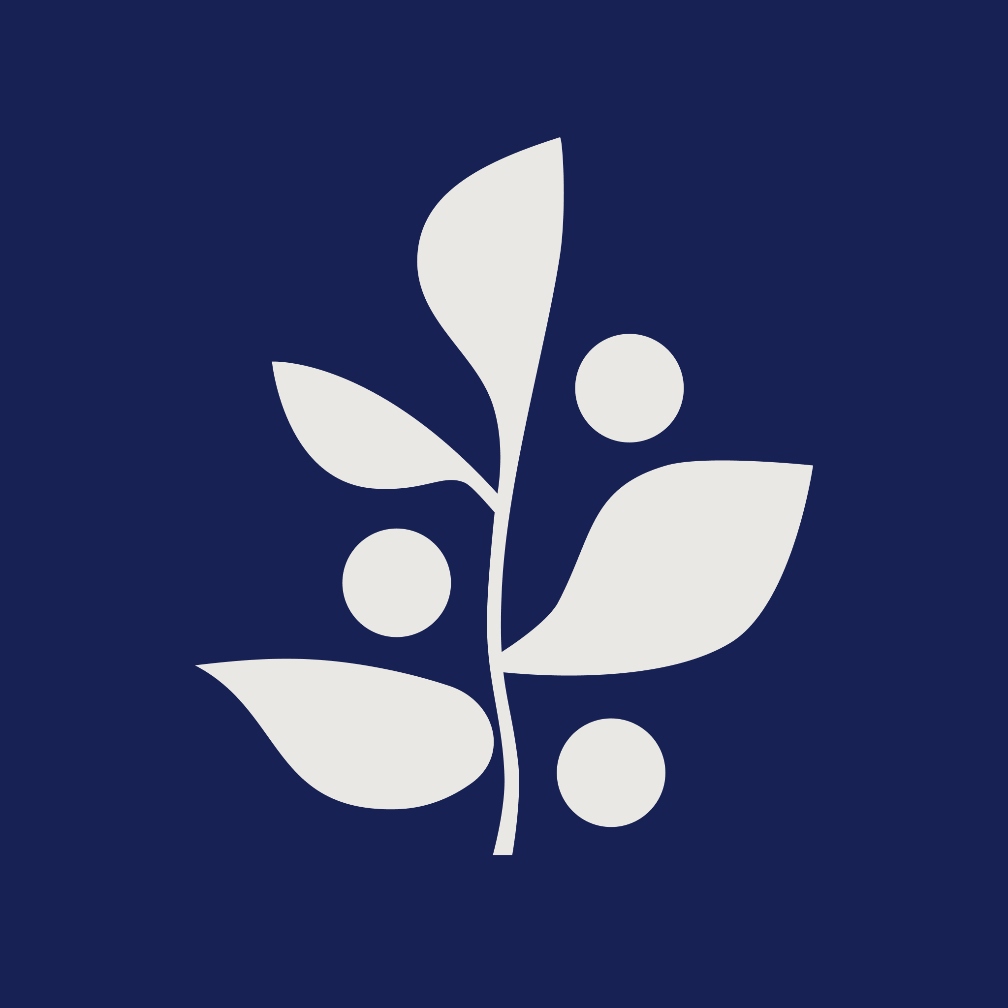 Concorda